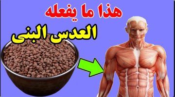 لن تصدق.. هل تعلم ماذا يحدث لجسمك عند تناول العدس الأحمر بجبة؟