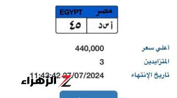 مزاد على لوحة سيارة “أ س د – 45” المميزة بسعر يقترب من نصف مليون جنيه