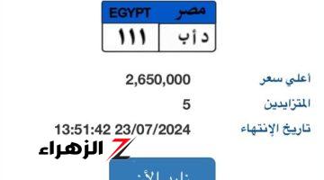 مزاد على لوحة سيارة “د أ ب – 111” المميزة بسعر يقترب من 3 ملايين جنيه