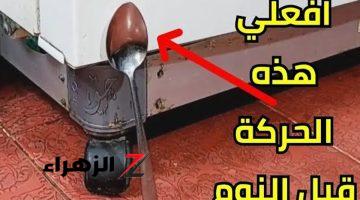 “هتقولي يارتني كنت اعرفها من زمان”.. وقفي المعلقه علي باب تلاجتك .. افعلي هذه الحركه قبل الذهاب إلى النوم