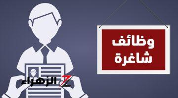 “ألحق قدم”.. الحكومة تعلن عن وظائف جديدة لخريجي هذه الكليات | المرتبات مجزية