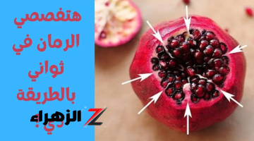 “هتفصصي عشره كيلو زى الصاروخ”.. فكرة بمليون جنيه لتفصيص 10 كيلو رمان في ثواني وبدون اي تعب … حماتك هتتبسط منك