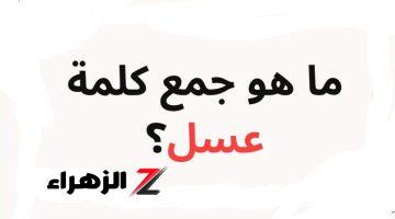 “لغز للعباقرة فقط” .. هل تعلم ما هو جمع كلمة عسل في اللغة العربية؟ .. تبقى عبقري لو عرفت تحلها!! 