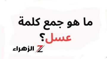 “99% لا يعرفون الإجابة”… ما هو جمع كلمة عسل في اللغة العربية مستحيل تخطر على بالك!!