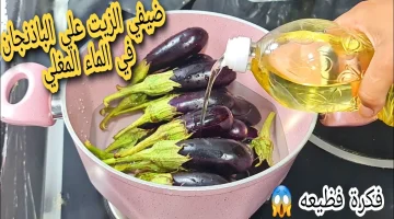 “طول عمرنا” بنعمله غلط : ارمي الزيت علي الباذنجان في المياه المغليه.. عمري ما تخيلت كل دة يطلع منه ؟!