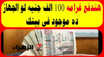 بقرار رسمي من الحكومة.. 100 ألف جنيه غرامة لكل مواطن يمتلك هذا الجهاز