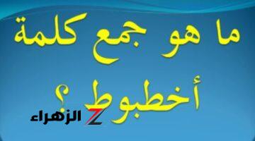 كله بيدور على الإجابة.. سؤال حير الملايين ما هي جمع كلمة اخطبوط وخبراء اللغة العربية يجيب