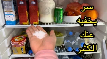 فكرة ب5 مليون جنيه!!… ضعي الملح في الثلاجة حيلة قالها فني تصليح إلى أحد السيدات ستندهشي من النتيجة!!