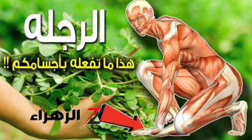 عشبة العجائب برائحة الجنة والتي أذهلت العالم.. نبات موجود بالقرب منك دون أن تعلم أنه يعيد اليك الشباب حتى لو العمر فوق الـ70 سنة!!