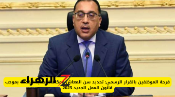 “الفرحة دخلت بيوت المصريين”.. مفاجأة كبيرة بشأن تحديد سن المعاش ومكافأة نهاية الخدمة.. خبر زي السكر للمواطنين..!!