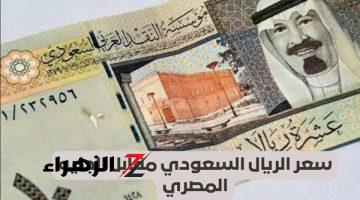 سعر الريال السعودي اليوم 9-8-2024 مقابل الجنيه المصري في البنوك والسوق السوداء.. 1000 من عملة المملكة وصلت كام؟