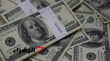 هل ارتفع سعر الدولار اليوم؟.. سعر الدولار اليوم الإثنين 12/ 8/ 2024