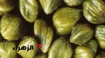 ولا الجن الأزرق يعرفها.. اكتشف سر العشبة الجبارة التي تعالج الزهايمر وتقوي المناعة.. مفيش دكتور هيقولك عليها !!