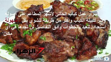 مشويات أسرار طريقة عمل كباب الحاتي Kebab بطعم رهيب لأشهر وأكبر المحلات على أصولها وسر التتبيله الرهيبة تجهيزات عيد الأضحى للمشويات وطرق شوي الكباب الصحيحة في الفرن والشواية