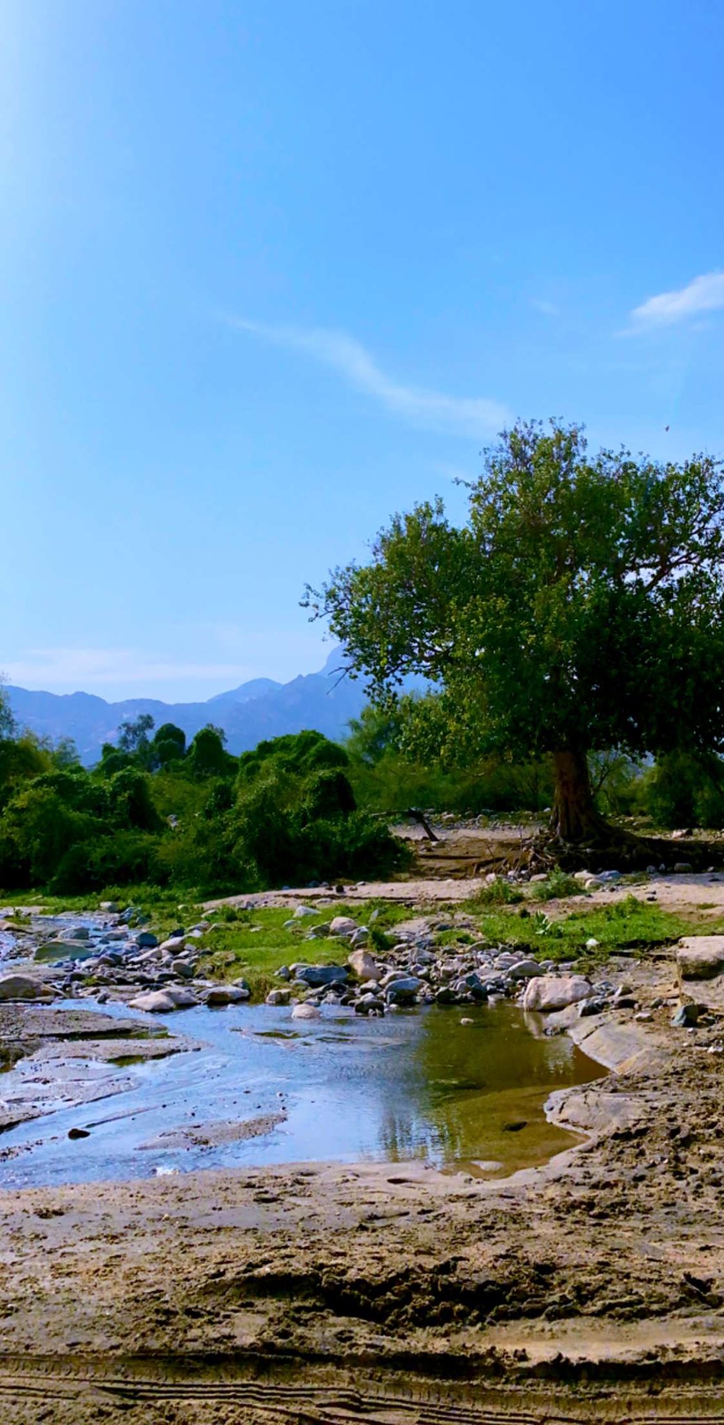 وادي الخيطان- الباحة- الزهراء.