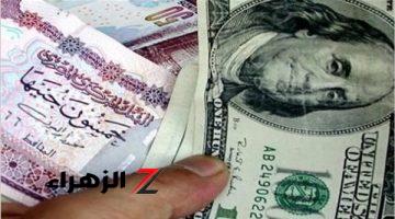 سعر الدولار اليوم 30 أغسطس 2024 مقابل الجنيه المصري: استقرار بالبنوك وارتفاع طفيف بالسوق السوداء.. هل يواصل الأخضر صعوده؟