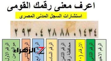 “أوعى حد يضحك عليك”… ماهو مدلول ال 14 رقم المتواجدين في بطاقة الرقم القومي..اعرف السر وراء هذه الارقام