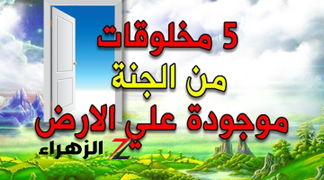 “شيء لا يصدقه عقل”… تعرف على خمسة مخلوقات نزلت من الجنة الى الارض والتي تزال موجودة الان !