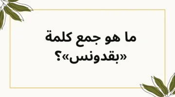 “لو عبقري هتحلها”… جمع كلمة بقدونس في اللغة العربية.. امتحان ثانوية عامة!؟