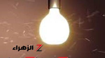 أخيرا عرفنا السر .. هل تعلم لماذا يتجمع الذباب حول المصابيح الكهربائية ؟؟.. يا ترى ايه السر  .. صدمة لما تعرفه