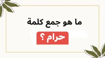 لغز حير العقول!!… هل تعرف ما هو جمع كلمة “حرام” في اللغة العربية.. سؤال عايزك تشغل دماغك فيه..؟!!!