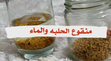 معجزة ربانية ليس لها مثيل.. تناول مشروب واحد من الحلبة لمدة 7 أيام فقط قبل النوم وستندهش من المفاجأة التي ستحدث لجسمك!!