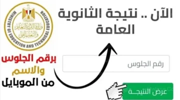 قبل اعلان التنسيق رسميا!!.. رابط نتيجة الثانوية العامة 2024 بالاسم ورقم الجلوس عبر بوابة الوزارة