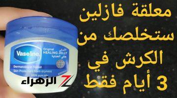 ولا خطرت علي بال العفريت !! ملعقة واحدة من الفازلين كل ليلة قبل النوم تخلصك من دهون الكرش خلال 10 أيام.. إليكم تفاصيل المعجزة .