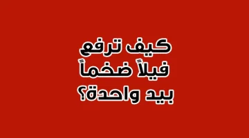 «الغاز لأصحاب التركيز القوي»… إليك امتع 5 ألغاز تستحق التفكير “.. حل بنفسك وشوف صح ولا غلط”!!