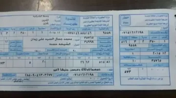 «شغل دماغك».. 3 خطوات بسيطة لتجنب ارتفاع فاتورة الكهرباء وغرامات عداد الكهرباء | خطة في منتهى الذكاء