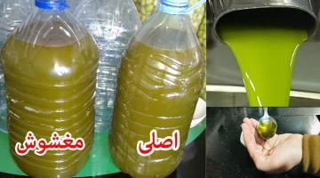 عمرها ما خطرت في بالِك.. كيف تعرفين الفرق بين زيت الزيتون الأصلي والمغشوش بأشياء بسيطة جدا ؟! إلييكم التفاصيل!