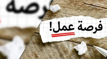 فرصة ذهبية ما تتفوتش.. اعلان وظائف عمل المصريين بالخارج.. مميزات كثيرة رواتب مجزية..!! 