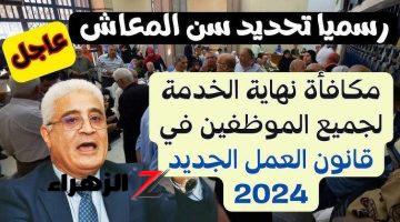 فرحان طبعاً يا سيدي…!! لكل الموظفين مليون وترليون مبروك عليكو… تحديد سن التقاعد الرسمي + مكافأة نهاية الخدمة؟!!!