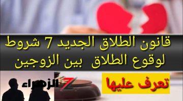 «احسبها 1000 مرة قبل ما تتسرع!!».. الحكومه وضعت 7 شروط لمنع الطلاق بين الزوجين طبقاً لقانون الأحوال الشخصية الجديد