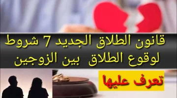 ألطلاق مبقش بالساهل.. 7 شروط جديدة وضعتها الحكومة لوقوع الطلاق بين الزوجين 2024 .. خد بالك منها