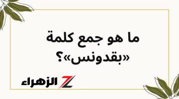 السؤال اللي جنن طلاب الثانوية العامة!!.. لن تتوقع ما هو جمع كلمة “بقدونس” في اللغة العربية.. إجابة غير متوقعة!