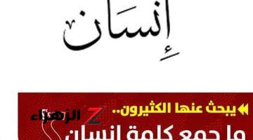 “الطلاب بيعيطوا بسبب السؤال “…!هل تعلم ما هو جمع كلمه انسان التي حيرت الطلاب في امتحان اللغة العربية .. لغز حير الجميع!!!