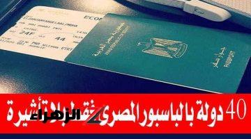 “معلومة بمليون دولار”… جواز السفر المصري الجديد يتيح لك الدخول لهذه الدول بدون تأشيرة.. طالع التفاصيل!!