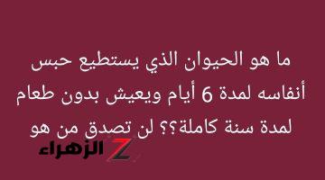 أذهل العالم بأسره .. حيوان خارق يعيش بدون تنفس لمدة 6 أيام وبدون طعام لمدة عام موجود في مصر .. لن تصدق من هو؟