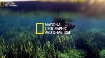 اتفرج على العالم من مكانك.. تردد قناة ناشيونال جيوغرافيك الجديد National Geographic على نايل سات 2024