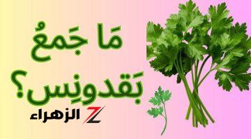 “السؤال الذي أبكي الملايين” ما هو جمع كلمة “بقدونس” في اللغة العربية.. عجز عن اجابته حيتان اللغة العربية!!