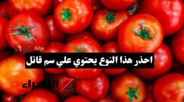 ” عينك وسط راسك محدش هينفعك”.. وزاره الزراعة تحذر من شراء نوع من الطماطم سام وقاتل.. تسببت في موت عائلة كاملة!!