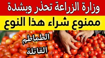 “فيها سم قاتل”.. وزارة الزراعه تصدر تحذير شديد اللهجة من شراء هذا النوع من الطماطم المنتشرة فى الاسواق.. هتكون السبب في موت البيت كله!!