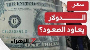 تنبؤات أمريكية.. ماذا يحدث في سعر صرف الدولار مقابل الجنيه المصري؟