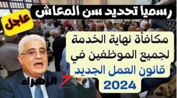 شوف اسمك معاهم ولالا.. «المعاش بعد الـ60 وإلغاء استمارة 6» بشرى بشأن مكافأة نهاية الخدمة