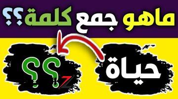 عباقرة اللغة العربية فين؟.. ماهو جمع كلمة حياة التي حيرت طلاب الشهادة الثانوية العامة.. ورينا شطارتك!!