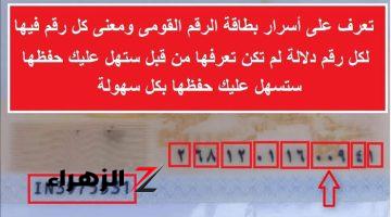 “واحد يحير لو رقم عشره اتغير”.. ماذا يعني مدلول الـ 14 رقم الموجودة على بطاقة الرقم القومي؟ وسر العلامة اللي تحت النسر