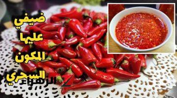 الحقوا موسم الفلفل.. سر عمل هريسة الشطة 🌶 زي بتاع الشركات اللي بتتباع في السوبر ماركت.. كنز في مطبخك!!