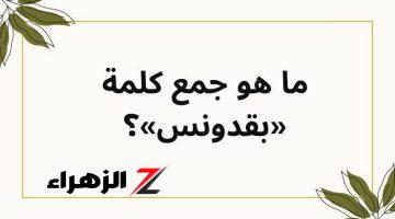 سقطت اغلب الطلاب!!.. جمع كلمة بقدونس اتحولوا طلاب ثانوية عامة لحالة من الجنان مش بتستوعب جمع هذه الكلمة صدمة لك!!!