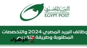 “ادخل شوف اسمك بسرعة الف مبروك “.. نتيجة مسابقة البريد المصري 2024 بالرقم القومي + اسماء المقبولين .. مرتبات رايقة وعال العال!!